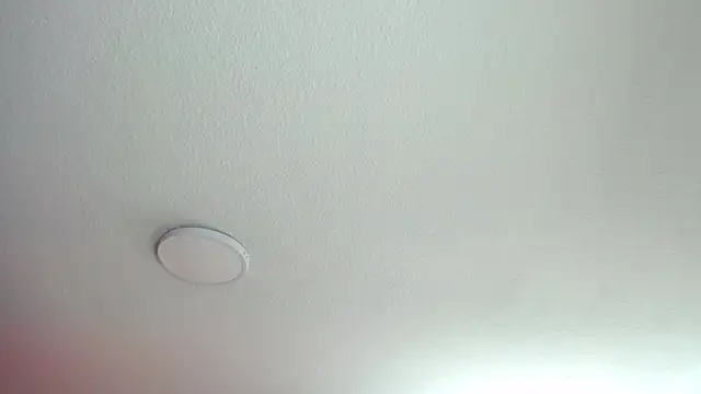  Charlotte Collins  online show from 9, 7, 2026