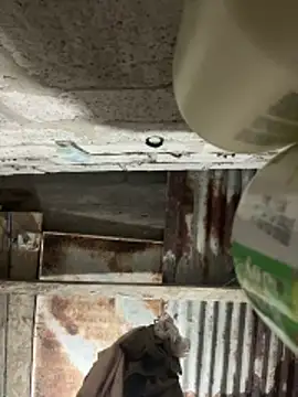 SaraBust online show from 7, 4, 2026