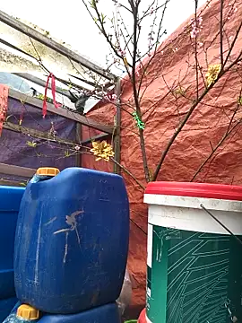 liu-liusexy online show from 15, 2, 2026