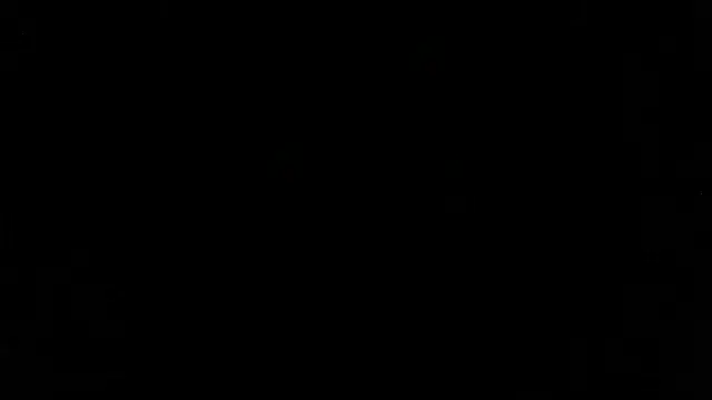 Zulema R1 online show from 1, 3, 2026