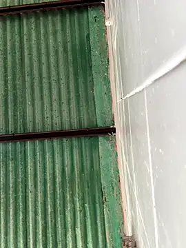 Snapshot of Isabella-2709 chatting on 25, 10, 2025 Isabella-2709 online show from 25, 10, 2025