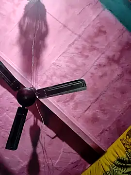 Pooja750 online show from 26, 11, 2025