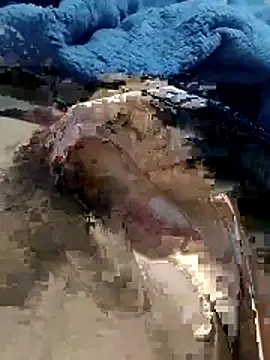 Snapshot of hdz3012 chatting on 15, 11, 2025 hdz3012 online show from 15, 11, 2025