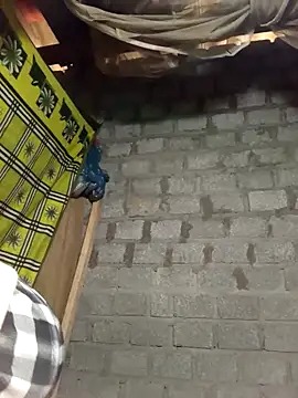 tcm-cute online show from 9, 2, 2026