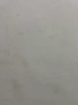 jully-jully online show from 24, 9, 2025