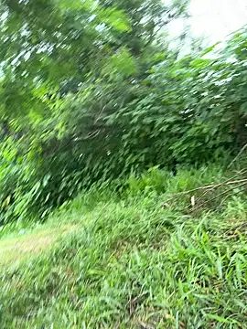 magraocam online show from 19, 3, 2026