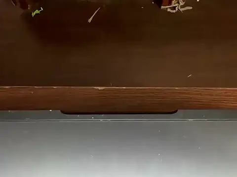 Snapshot of LustyDuoSecrets chatting on 21, 4, 2026 LustyDuoSecrets online show from 21, 4, 2026