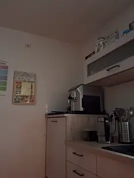 Snapshot of Rozendefotz chatting on 28, 10, 2025 Rozendefotz online show from 28, 10, 2025