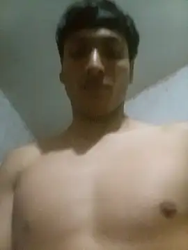 Bebicho14 online show from 16, 11, 2025