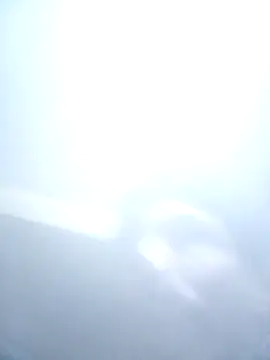 Bebicho14 online show from 7, 2, 2026