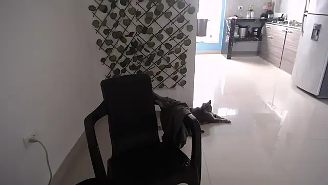 yohacriss online show from 16, 12, 2025