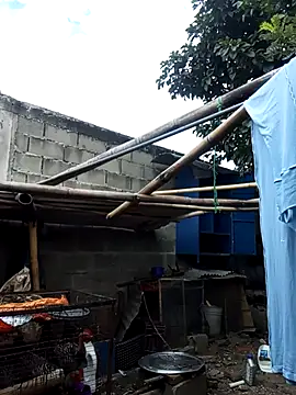 Snapshot of MackMacKenzie chatting on 19, 12, 2025 MackMacKenzie online show from 19, 12, 2025