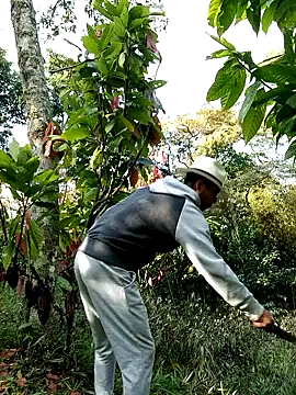 Snapshot of AlphaAlterX chatting on 28, 2, 2026 AlphaAlterX online show from 28, 2, 2026