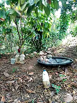 Snapshot of AlphaAlterX chatting on 2, 3, 2026 AlphaAlterX online show from 2, 3, 2026