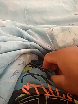 Novin23cms online show from 29, 9, 2025