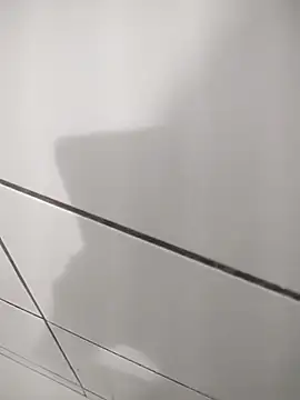 Novin23cms online show from 12, 11, 2025