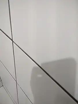 Novin23cms online show from 14, 11, 2025