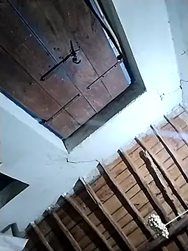 telugu pellam online show from 11, 2, 2026