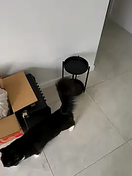 aussiepeaches online show from 6, 4, 2026