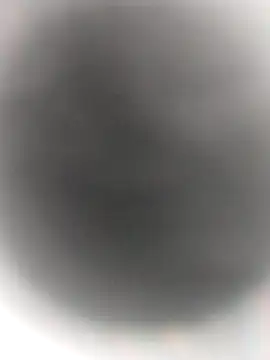 Snapshot of Necroforo chatting on 14, 2, 2026 Necroforo online show from 14, 2, 2026