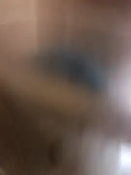 Snapshot of kirikou0644 chatting on 10, 3, 2026 kirikou0644 online show from 10, 3, 2026