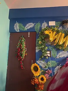 Snapshot of V-Hot-Sweti chatting on 21, 2, 2026 V-Hot-Sweti online show from 21, 2, 2026