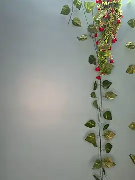 Snapshot of V-Hot-Sweti chatting on 30, 3, 2026 V-Hot-Sweti online show from 30, 3, 2026