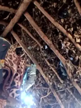 Snapshot of Hot_rachnasexy chatting on 9, 3, 2026 Hot rachnasexy online show from 9, 3, 2026