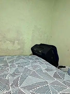 Cat Hot Party online show from 2, 12, 2025