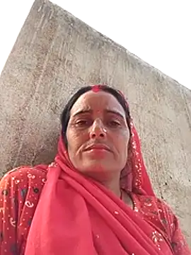 Jalebi bay online show from 23, 11, 2025