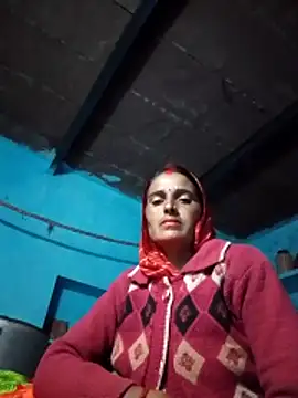 Jalebi bay online show from 29, 11, 2025