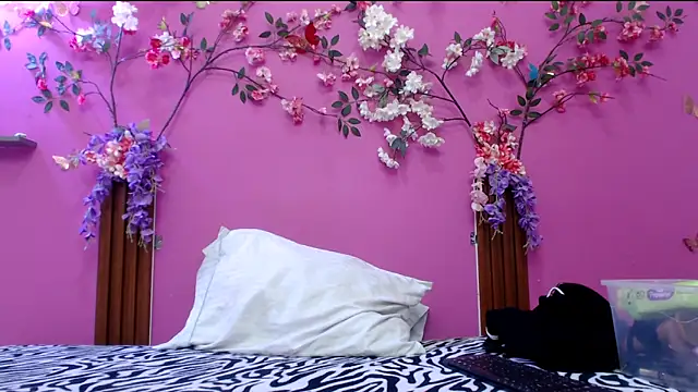 Snapshot of skinnysofia18 chatting on 2, 4, 2026 skinnysofia18 online show from 2, 4, 2026