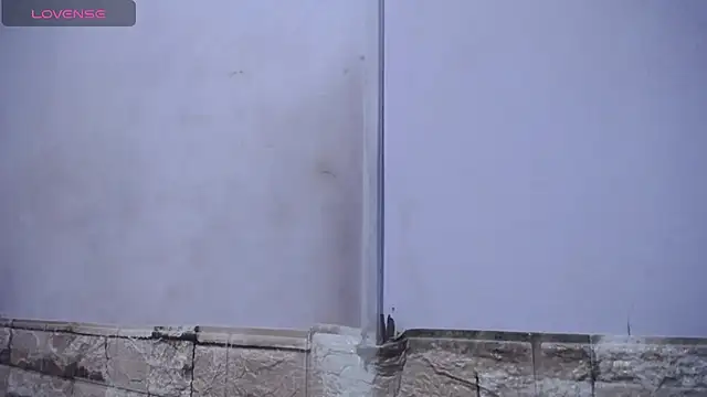 Bicky 24 online show from 25, 2, 2026