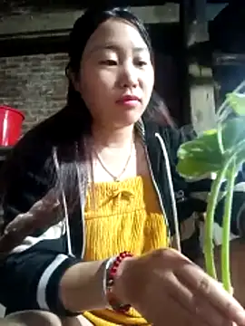 siki-00 online show from 25, 10, 2025