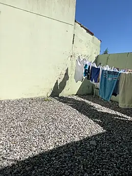 cat9269 online show from 11, 11, 2025