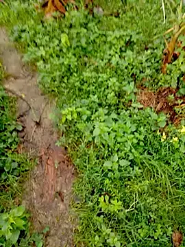 Snapshot of bigdaddyboy46 chatting on 12, 9, 2025 bigdaddyboy46 online show from 12, 9, 2025