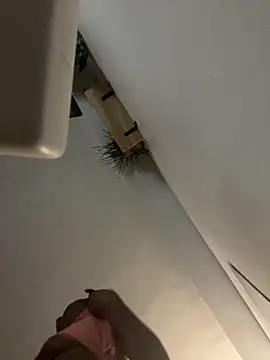 littyleesh1 online show from 14, 4, 2026