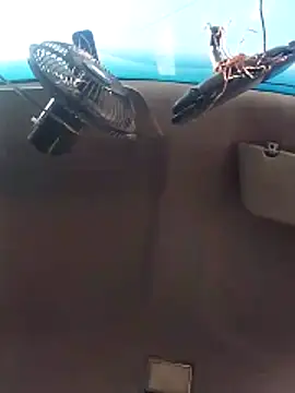 Ghkjccvk online show from 20, 2, 2026