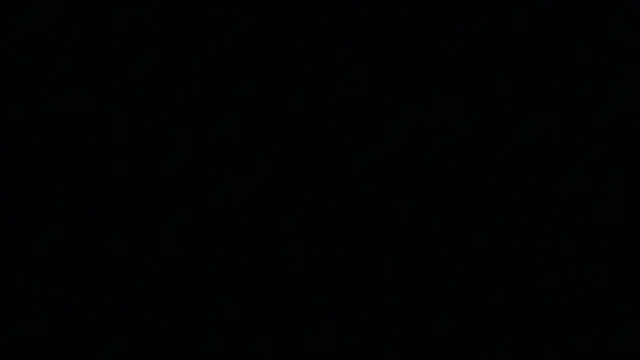 Pyrelissa online show from 4, 12, 2025