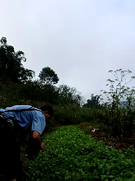 kemtuoi-sex online show from 3, 10, 2025