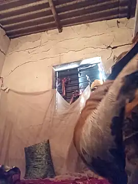 Notyriya7 online show from 12, 4, 2026