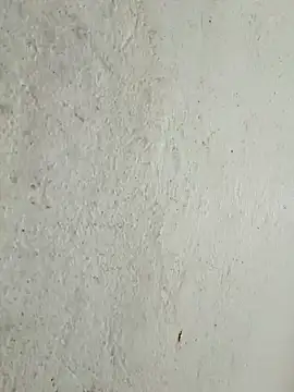 kata-00 online show from 15, 3, 2026