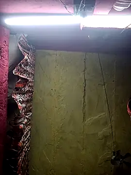 Snapshot of Suman_ji1 chatting on 25, 11, 2025 Suman ji1 online show from 25, 11, 2025