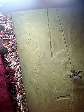 Snapshot of Suman_ji1 chatting on 27, 11, 2025 Suman ji1 online show from 27, 11, 2025