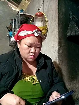 riso-00 online show from 8, 1, 2026