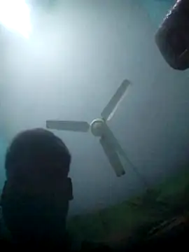 haryanaboypanipat12 online show from 10, 3, 2026