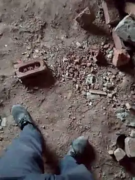 haryanaboypanipat12 online show from 3, 4, 2026