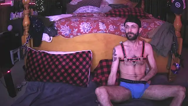 HarmoniousPhantasm3 online show from 4, 11, 2025