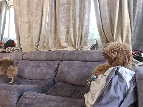 Alexis21821 online show from 3, 12, 2025