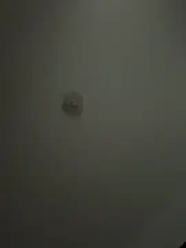 Andrestarr online show from 2, 4, 2026